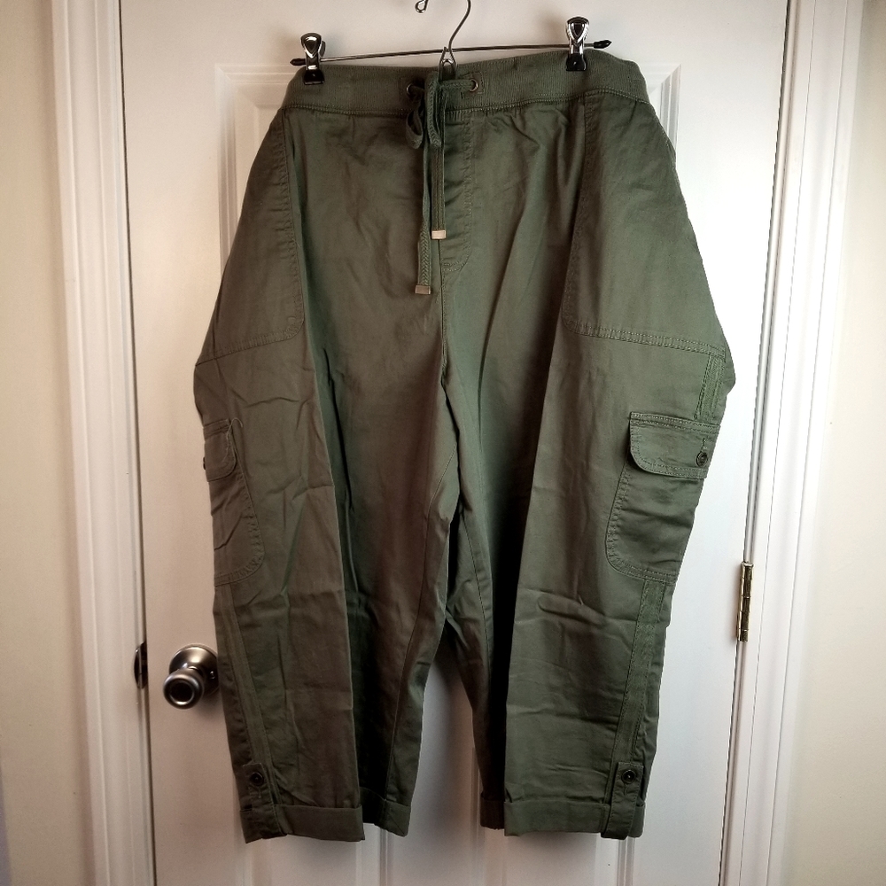 NWT Womens Terra & Sky Green Capris 5X